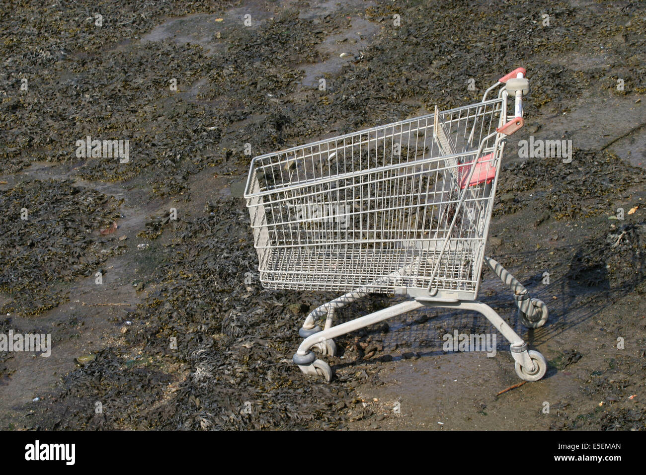 france, Normandie, pollution, manche, cherbourg, charriot de supermarche, caddie, au fond du port a maree basse, dechets, detritus, develeoppement durable, Stock Photo