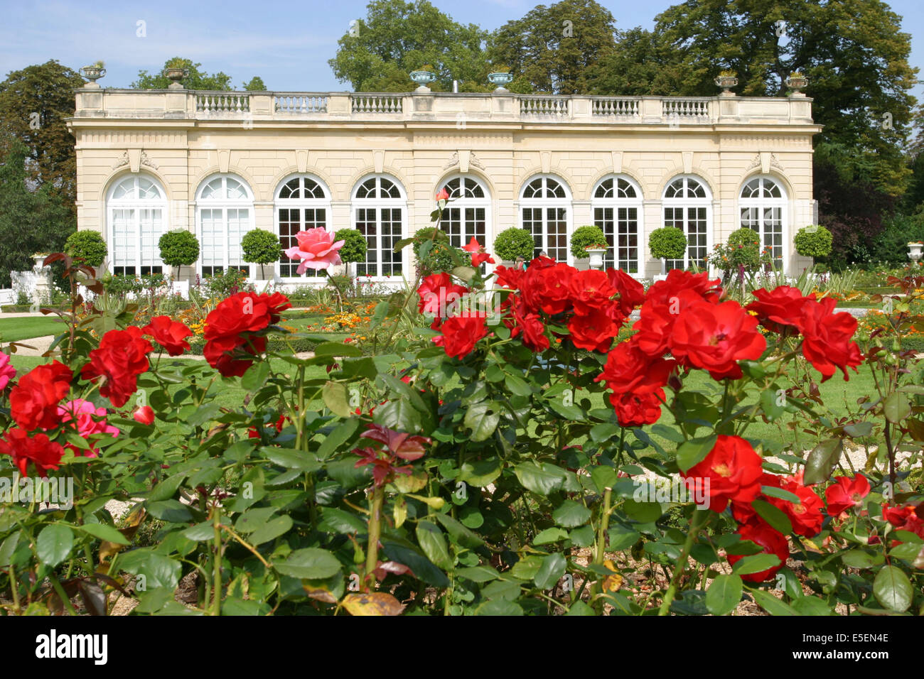 France, paris 16e, bois de boulogne, parc de bagatelle, pavillon, orangerie, jardin, roseraie, roses rouges, Stock Photo