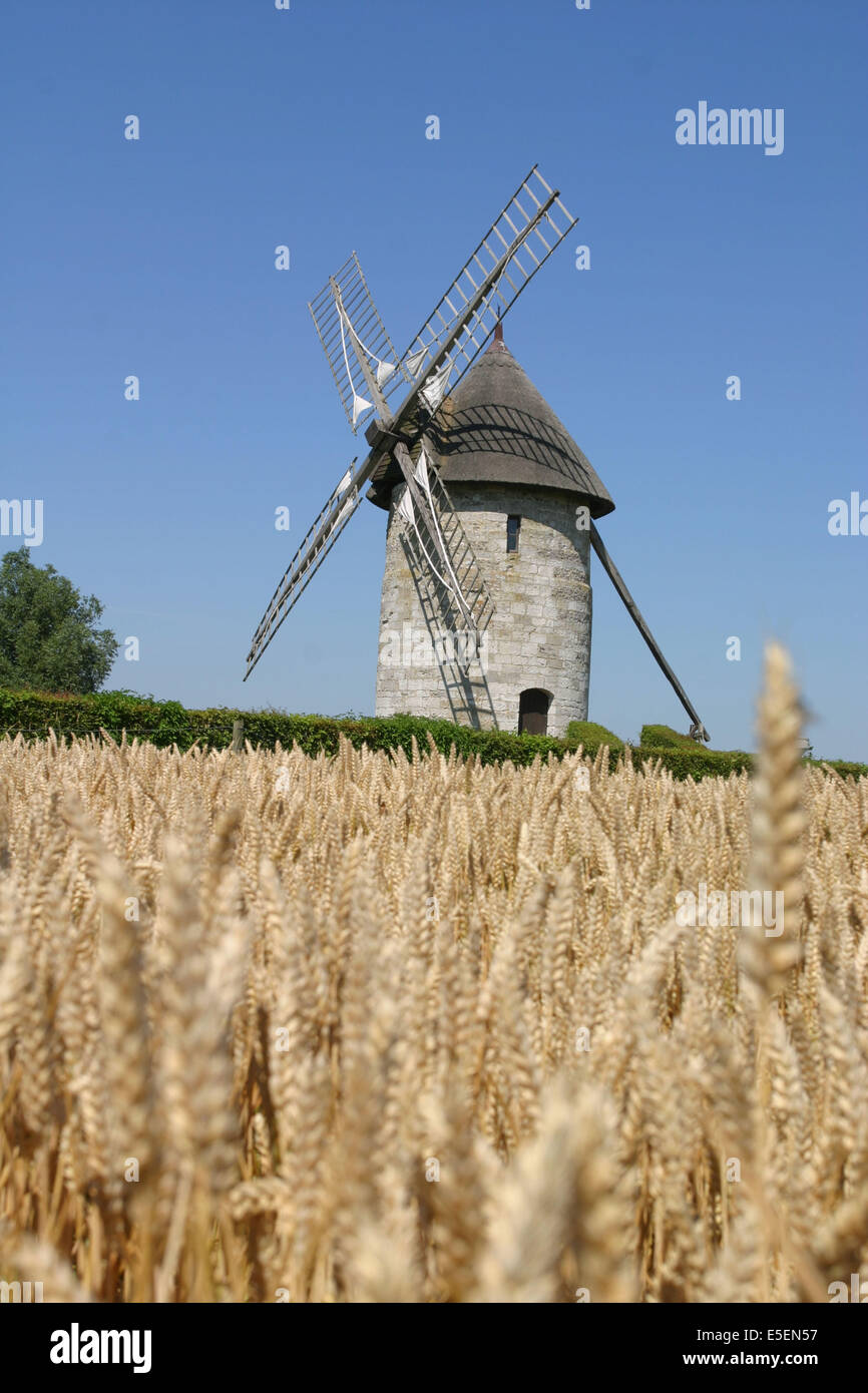 France, Haute Normandie, eure, moulin a vent, Hauville, champ de ble mur, cereales, Stock Photo