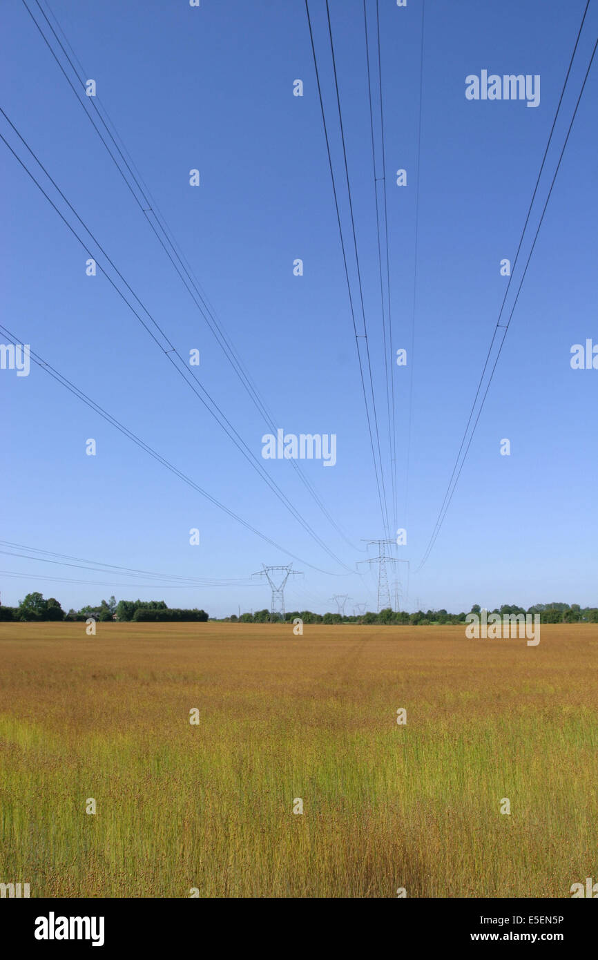 Pylones et fils electriques hires stock photography and images Alamy