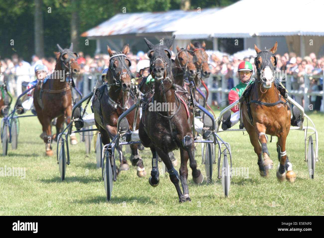 France, Basse Normandie, calvados, pays d'auge, dozule, courses de trot, hippodrome, courses, cheval, pmu, piste herbe, Stock Photo