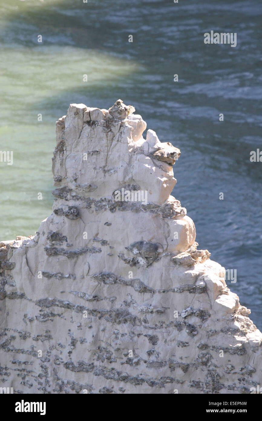 France, Normandie, seine maritime, cote d'albatre etretat, detail morceau de falaise calcaire, mer, Stock Photo
