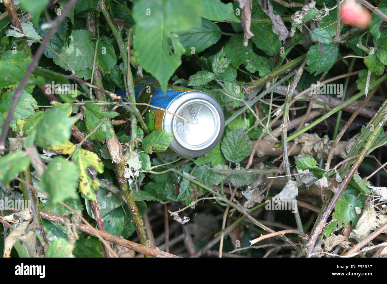 France, Normandie, seine maritime, salete, trottoir, dechets, developpement durable, detritus, pollution des talus, canette de soda, Stock Photo