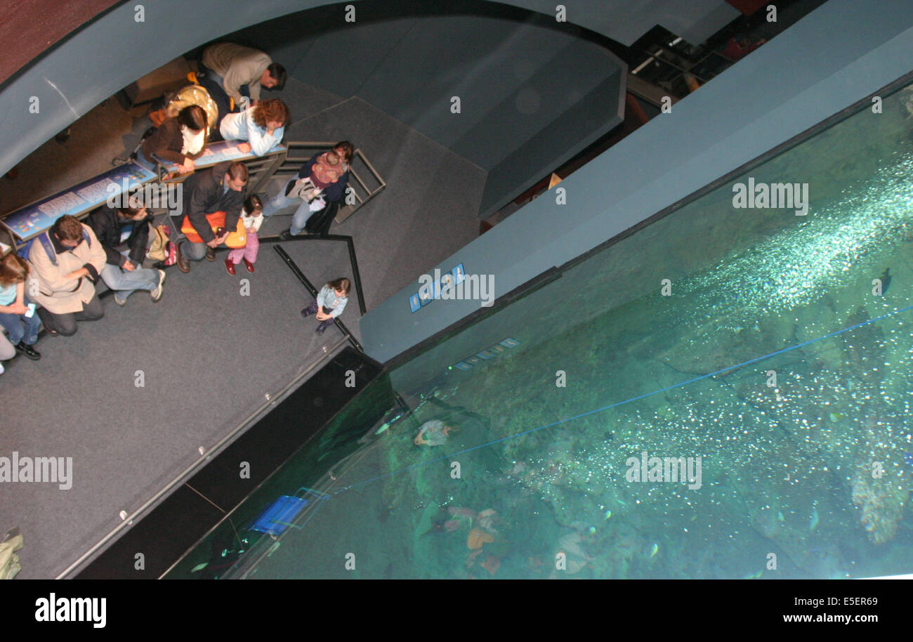 France, Basse Normandie, manche, cotentin, cherbourg, cite de la mer