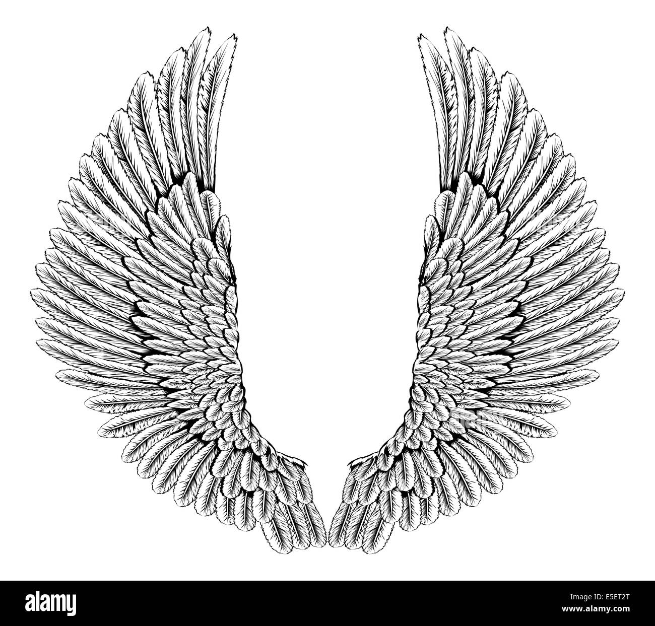 An illustration of a pair of angel or eagle wings spread Stock Photo
