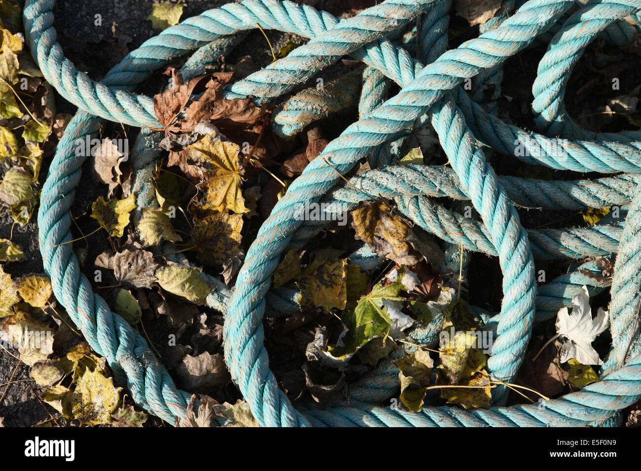 France, Normandie, calvados, port, automne, vieux cordage tombe dans des feuilles mortes, Stock Photo