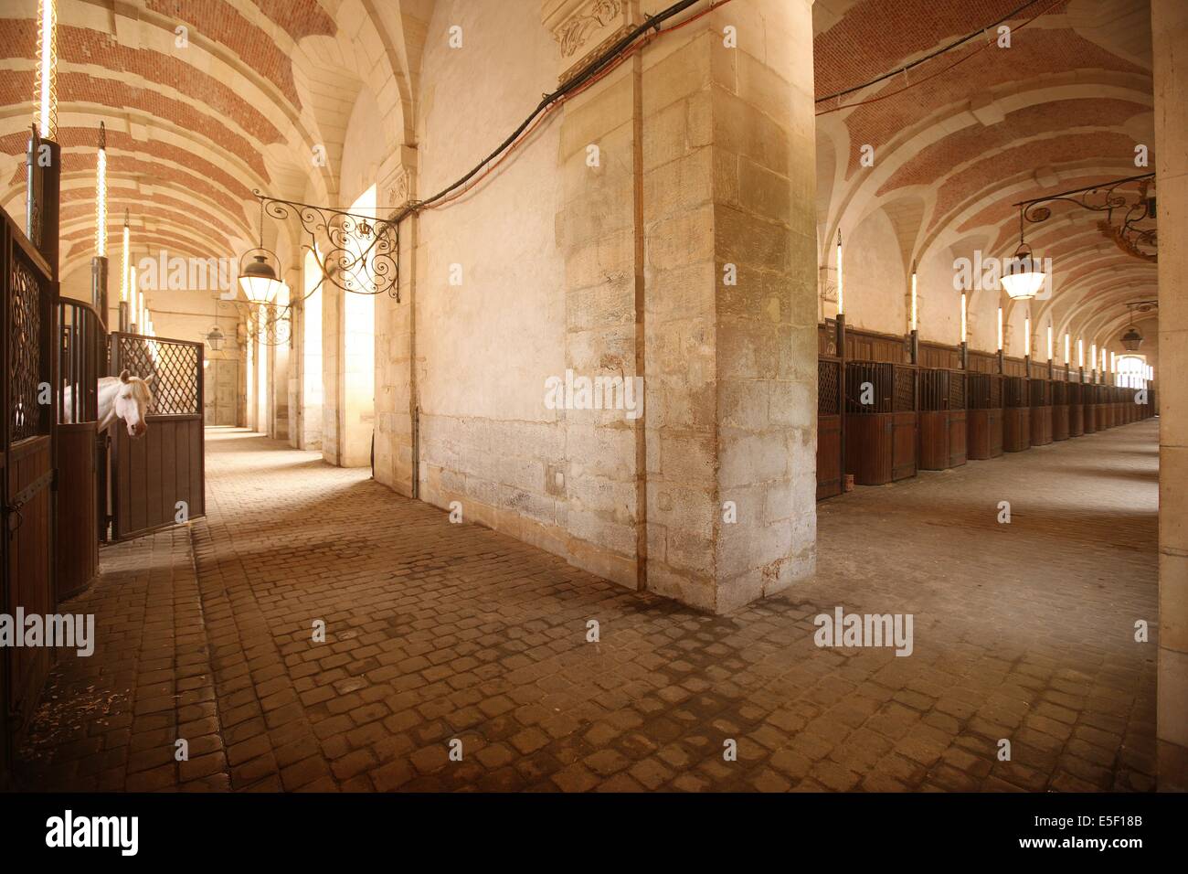 Stables versailles hires stock photography and images Alamy