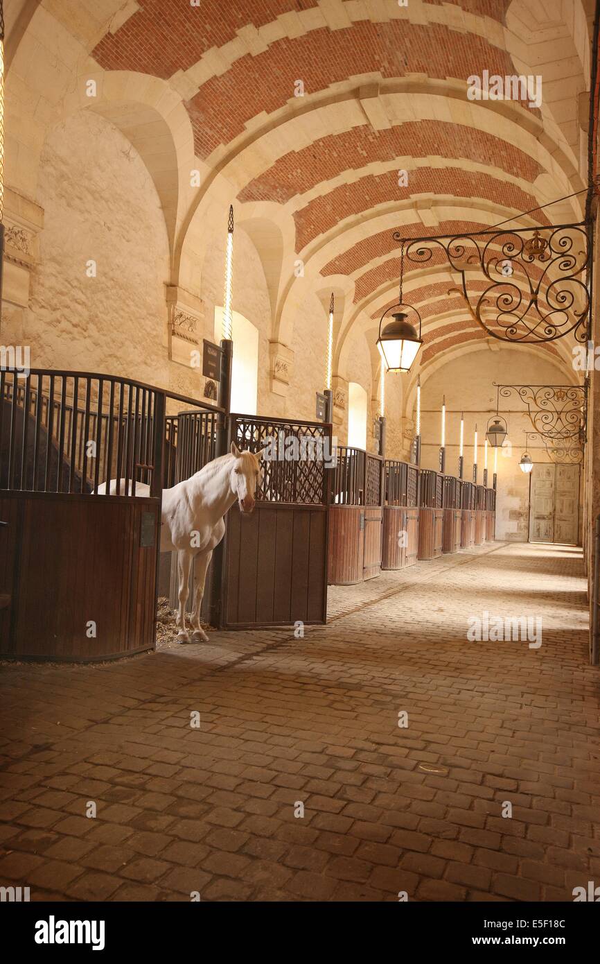 France, ile de france, yvelines, versailles, chateau de versailles, the