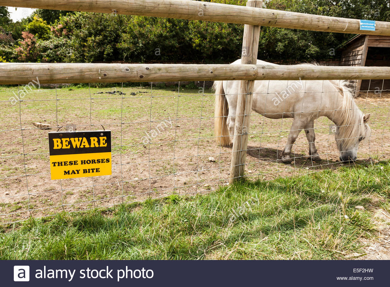Warning Horses Stock Photos & Warning Horses Stock Images Alamy