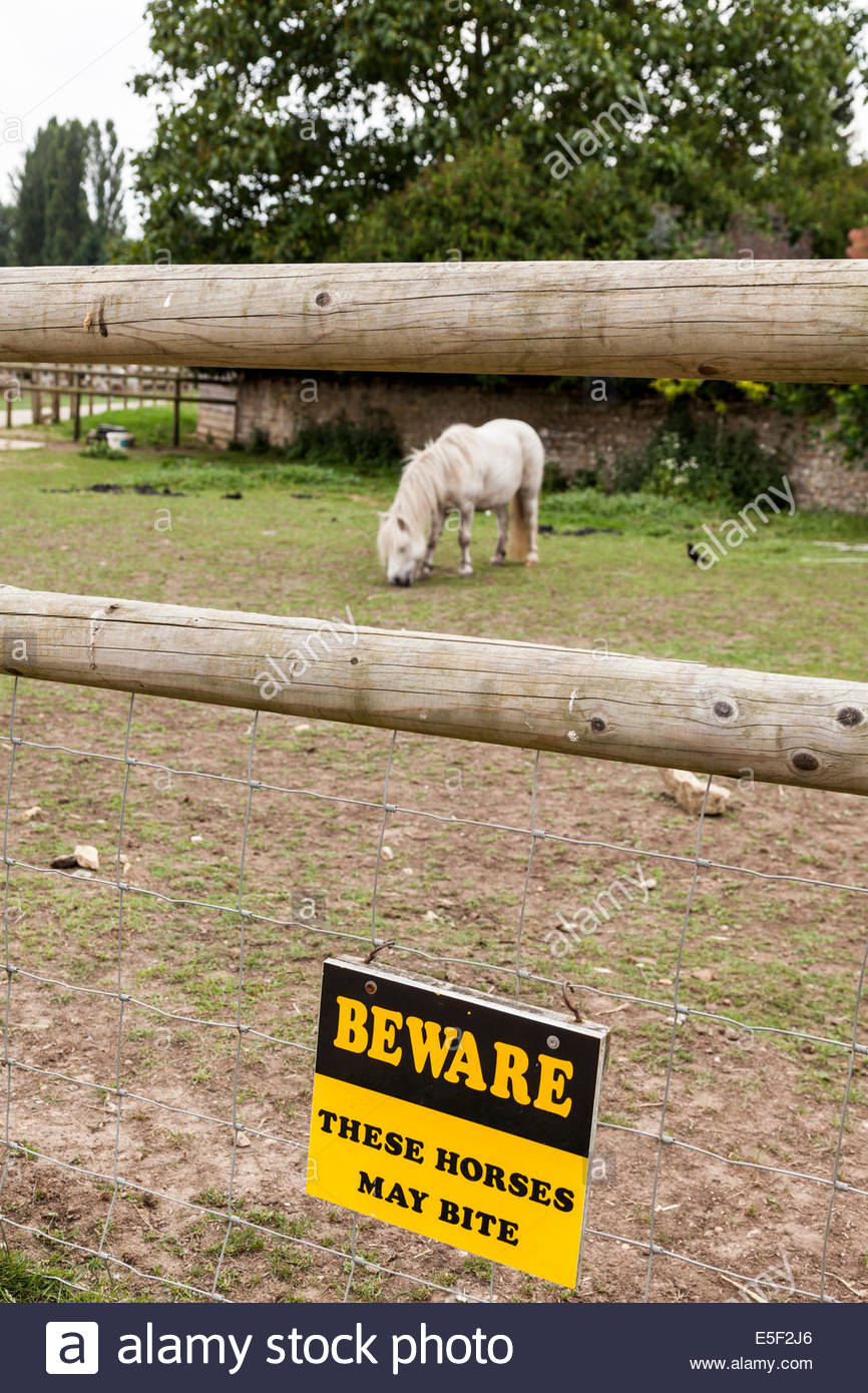 Warning Horses Stock Photos & Warning Horses Stock Images Alamy