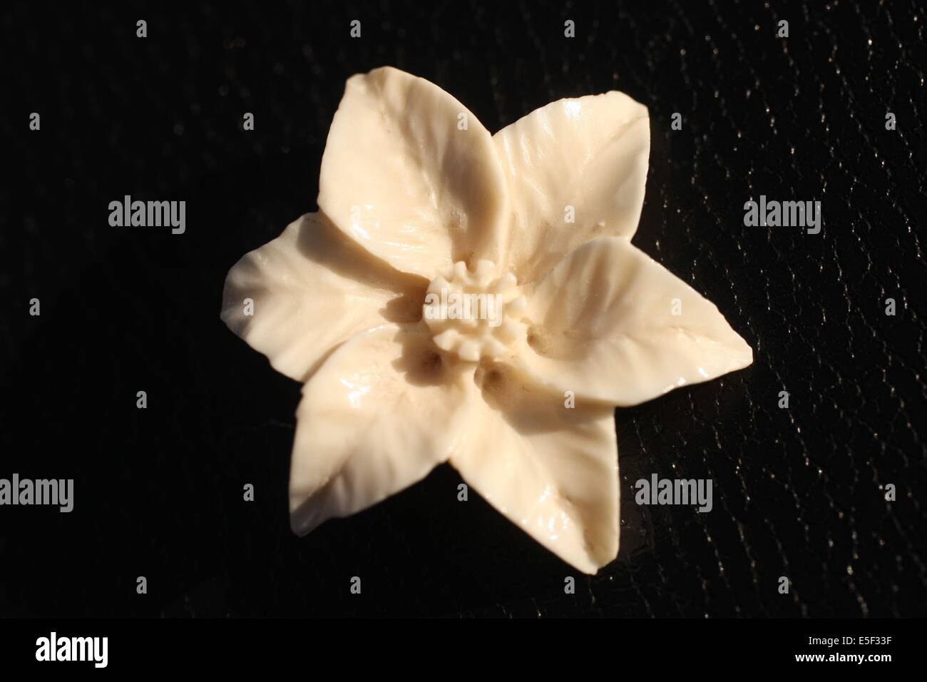 France, Haute Normandie, eure, le roncenay authenay, didier willemns