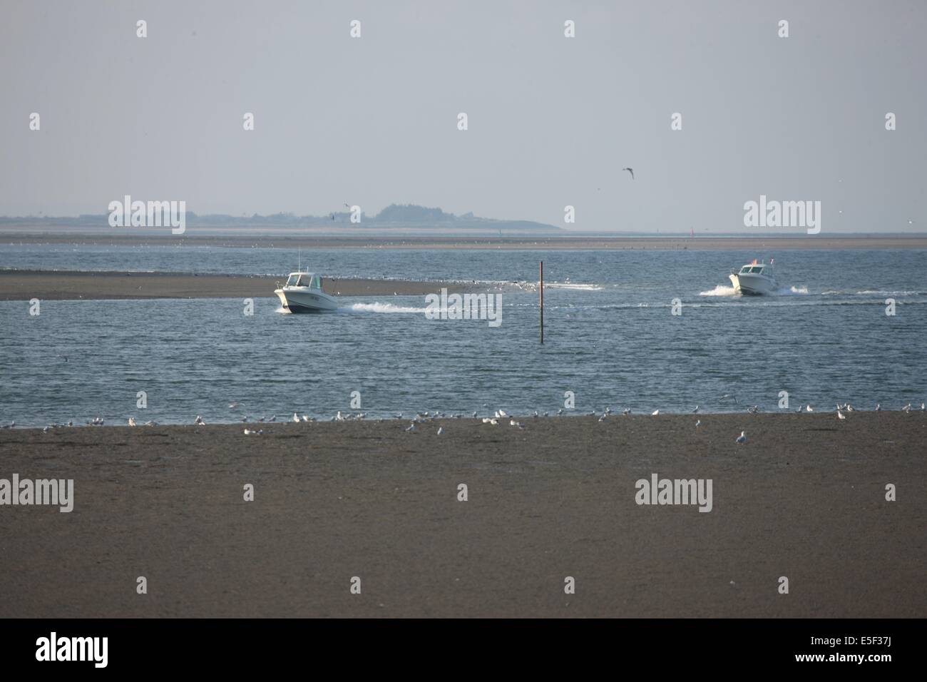 France, Basse Normandie, calvados, bessin, Isigny sur mer, embouchure de la vire, littoral, dunes, estuaire, manche, sable, vedette de plaisance, Stock Photo