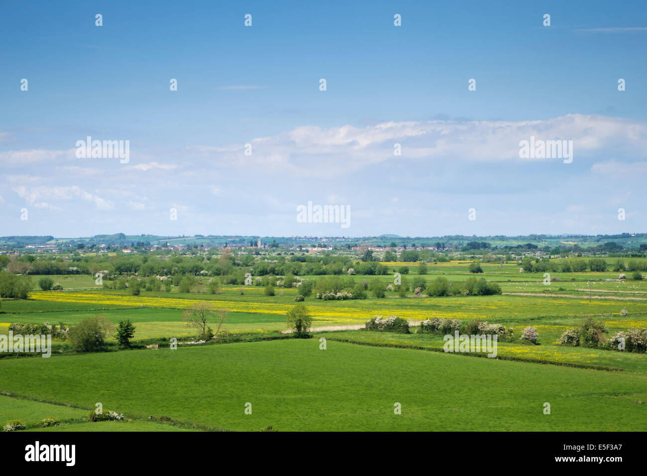 The Somerset Levels landscape, Somerset, England, UK Stock Photo