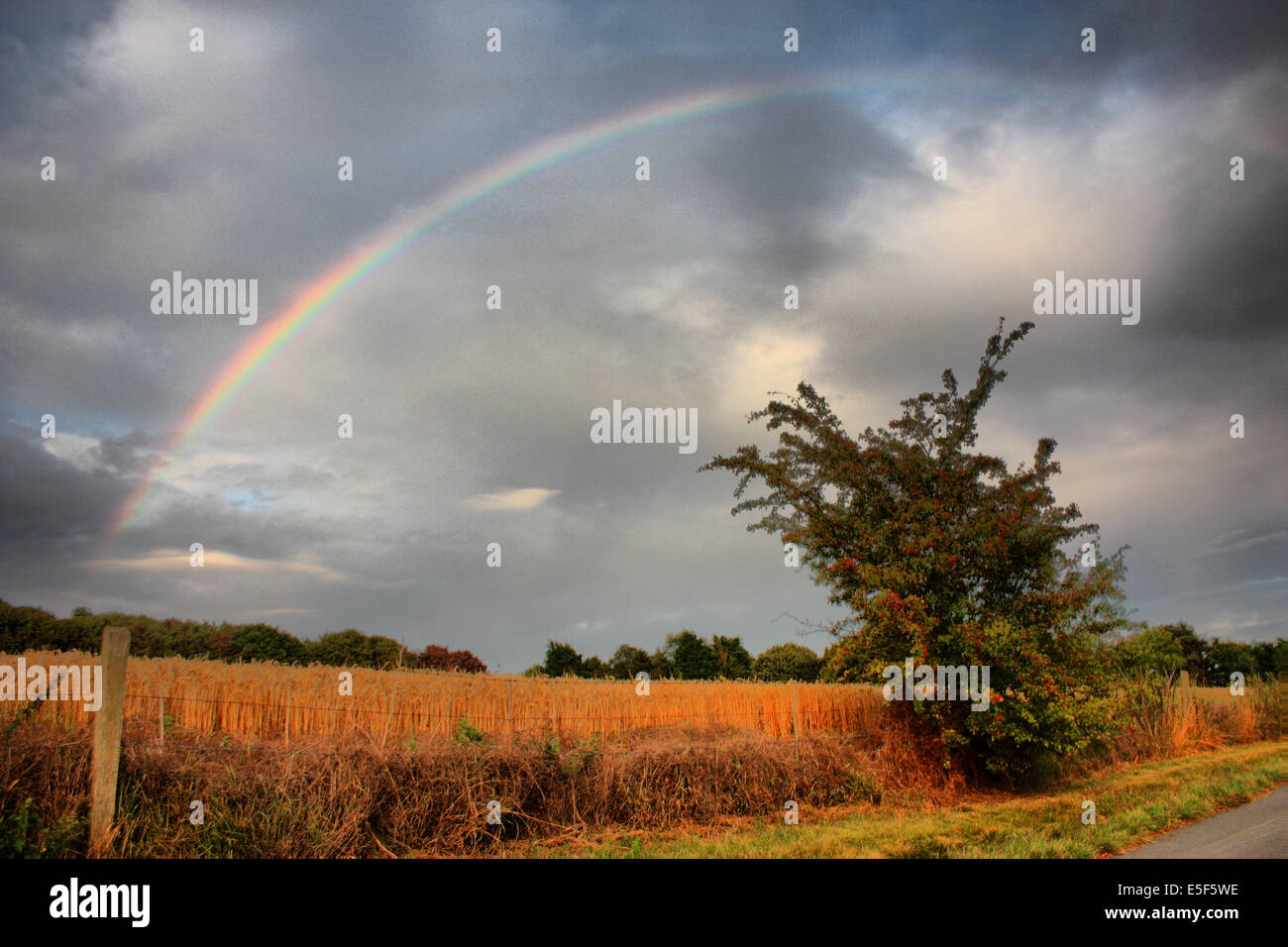 rainbow over a rural scene Stock Photo - Alamy