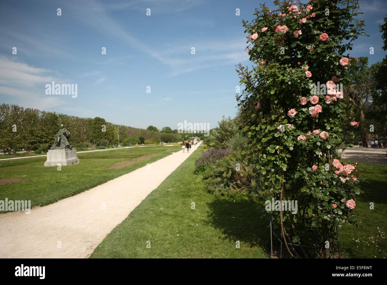France, ile de france, paris 5e arrondissement, jardin des plantes
