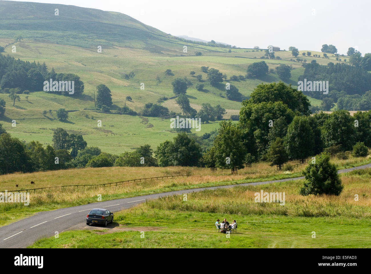 Middleham Low Moor Yorkshire Dales.RACE HORSE TRAINING AREA. UK HOMER