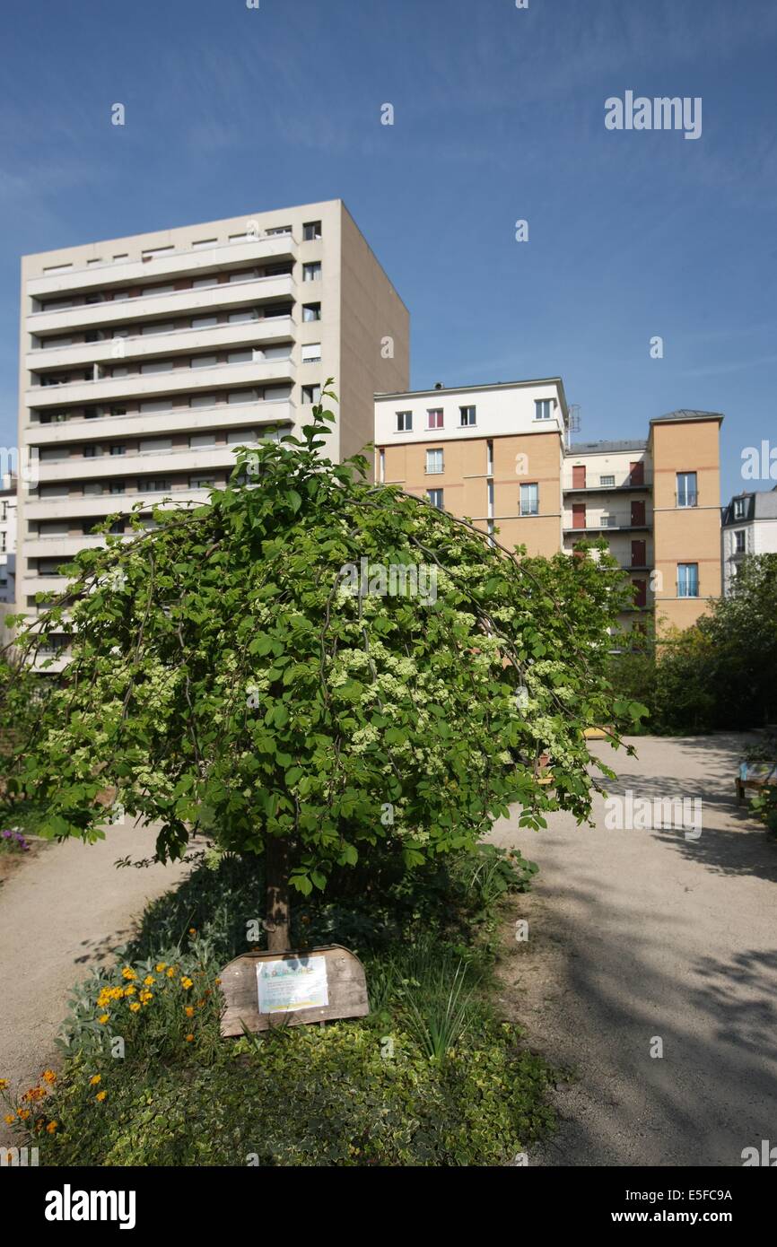 France, ile de france, paris 20e arrondissement, rue michel de bourges