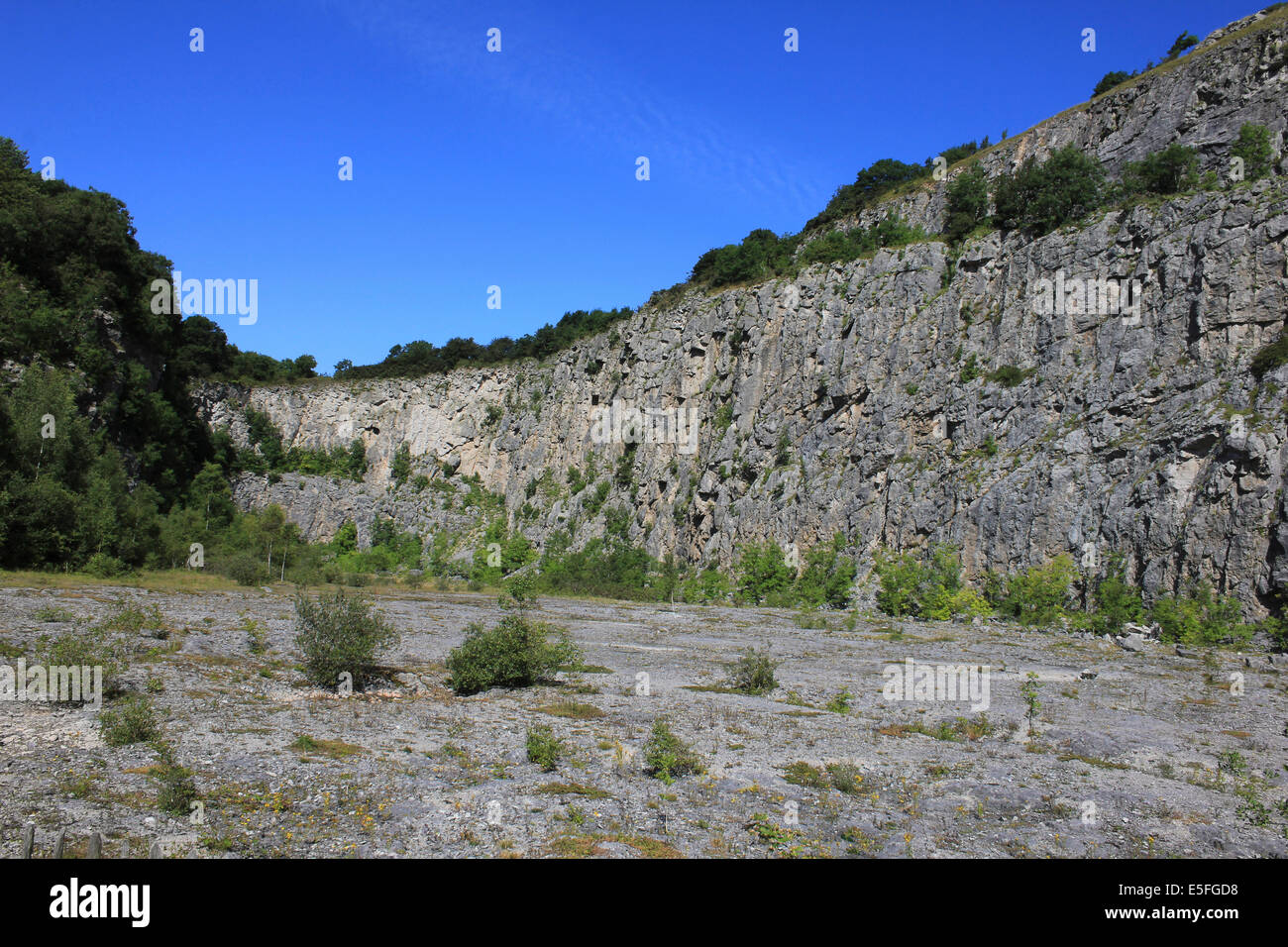 The Old Limestone Quarry at Warton Crags Nature Reserve, Lancashire, UK Stock Photo