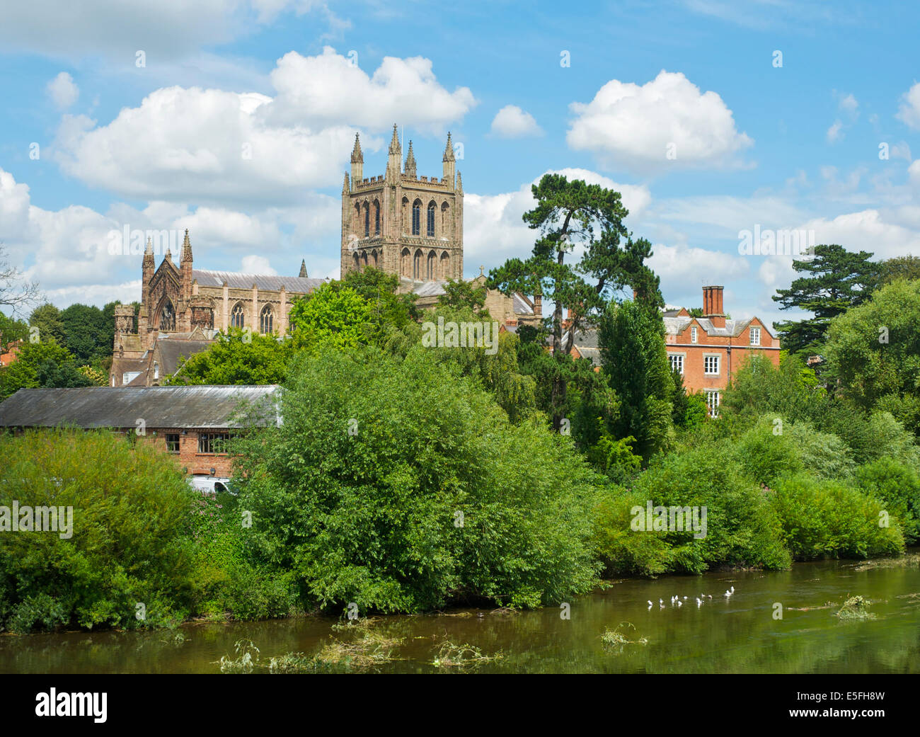The Cathedral, Hereford, Herefordshire, England UK Stock Photo Alamy