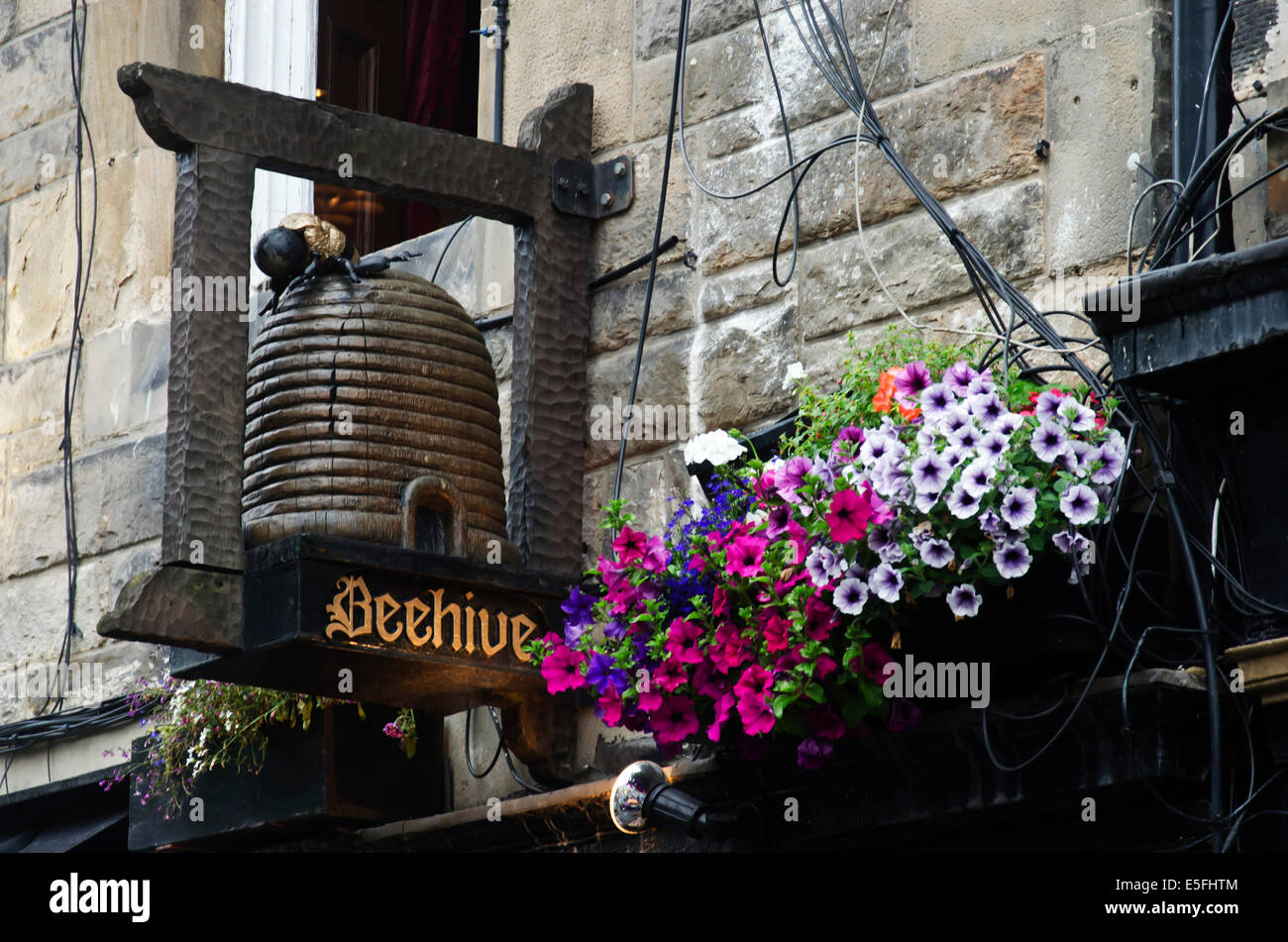 Pub sign and flowers for the Beehive Inn in Edinburgh's Grassmarket, Scotland. Stock Photo