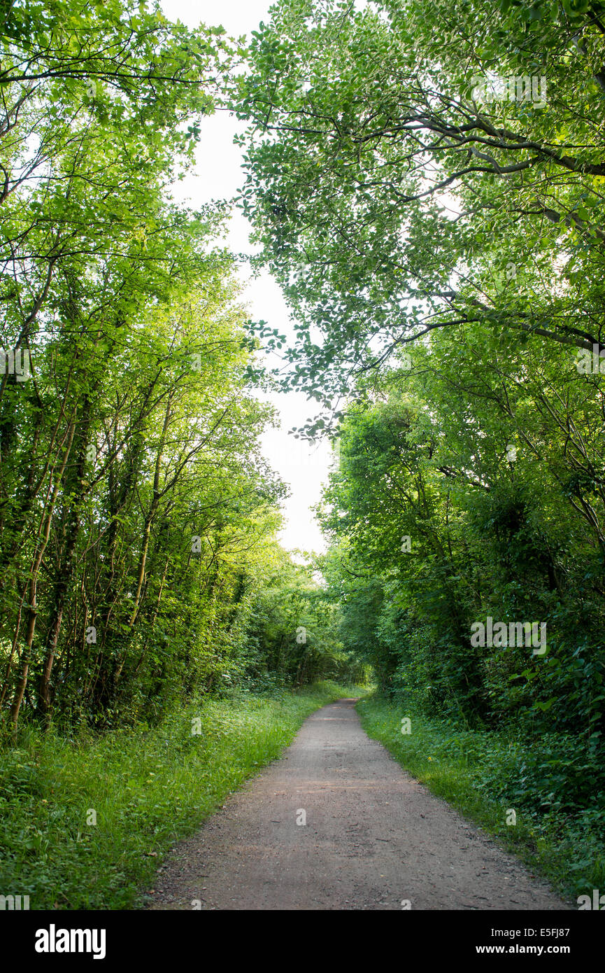 A view along the Nickey Line in Redbourn, UK Stock Photo - Alamy