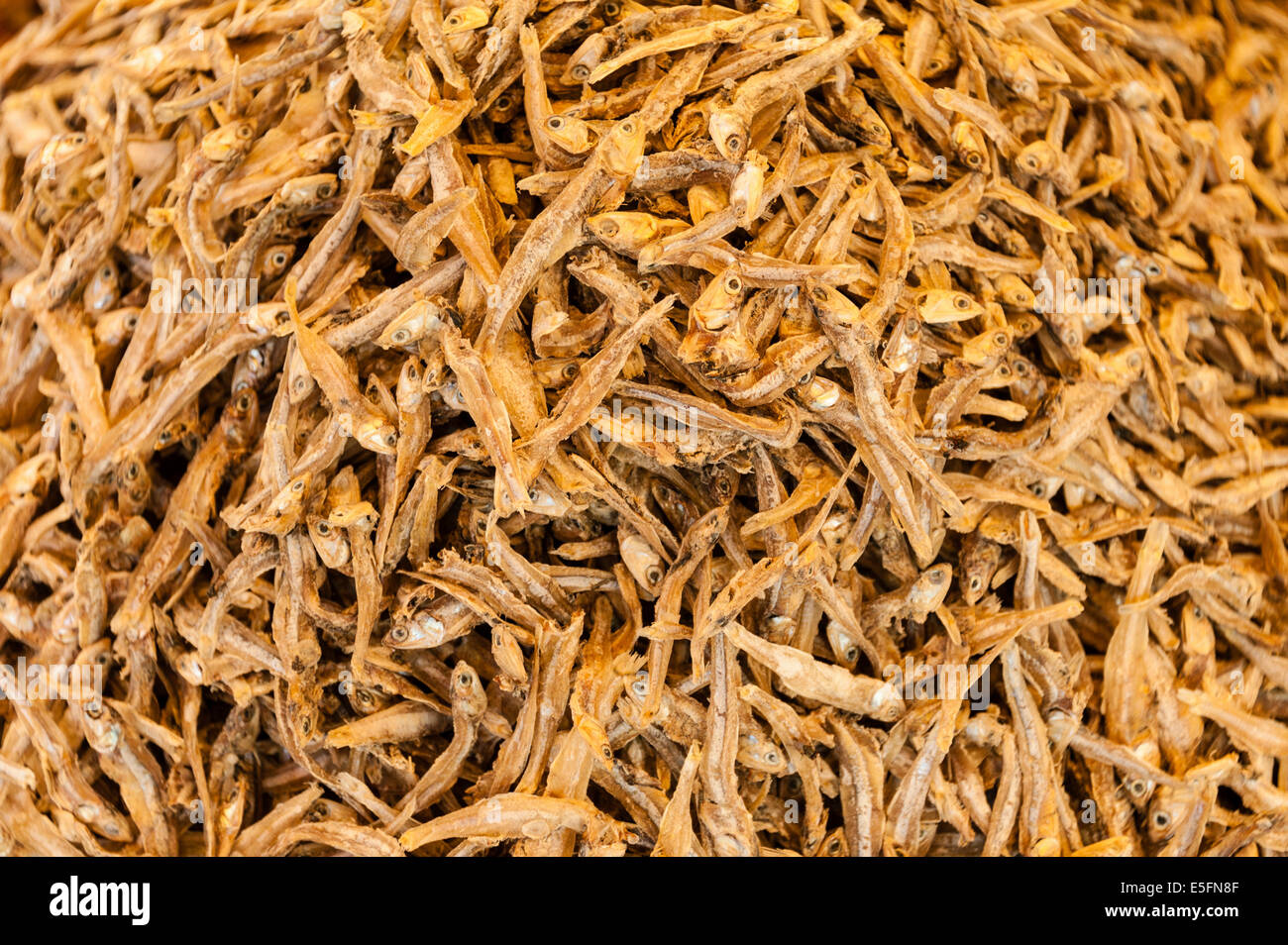 Dried Sardines or Pilchards (Sardina pilchardus) Stock Photo