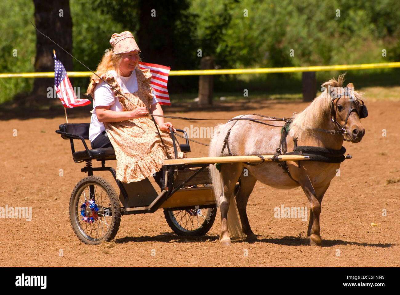 Miniature horse buggy with Dreamcatcher (horse), Miniature Horse Show