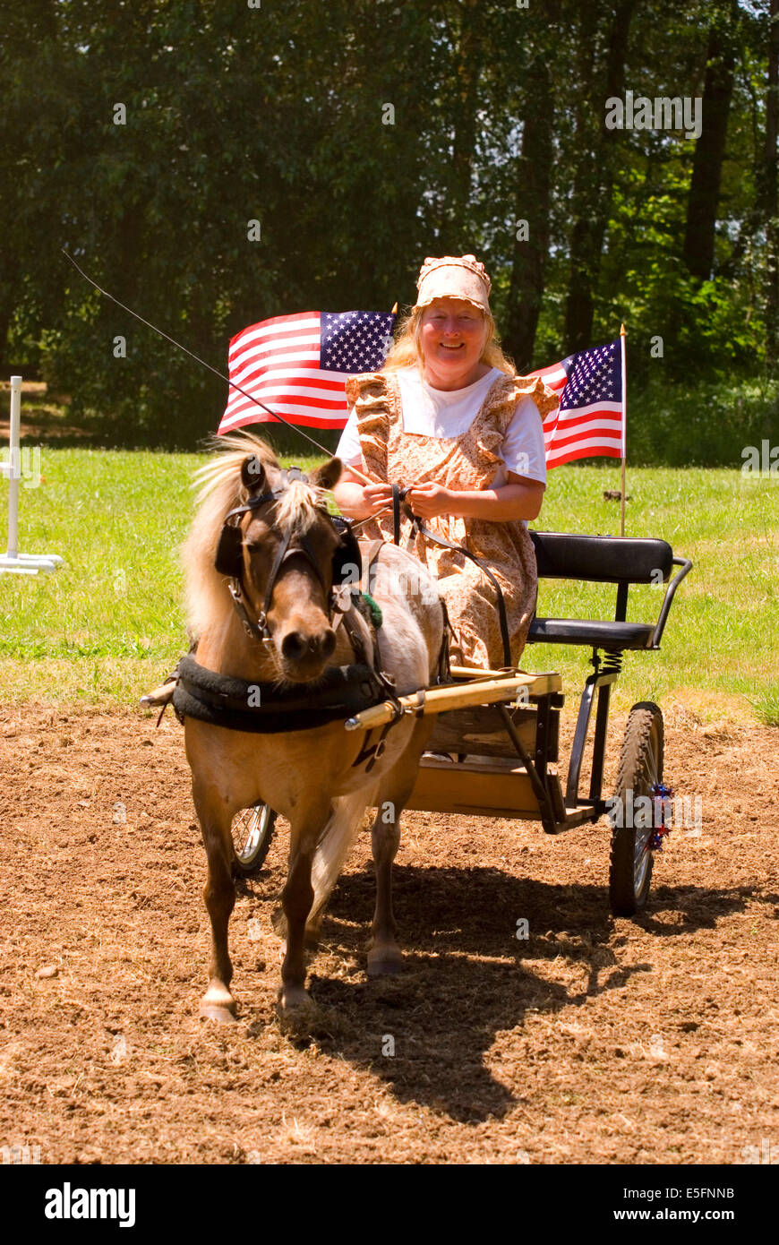 Miniature horse buggy with Dreamcatcher (horse), Miniature Horse Show
