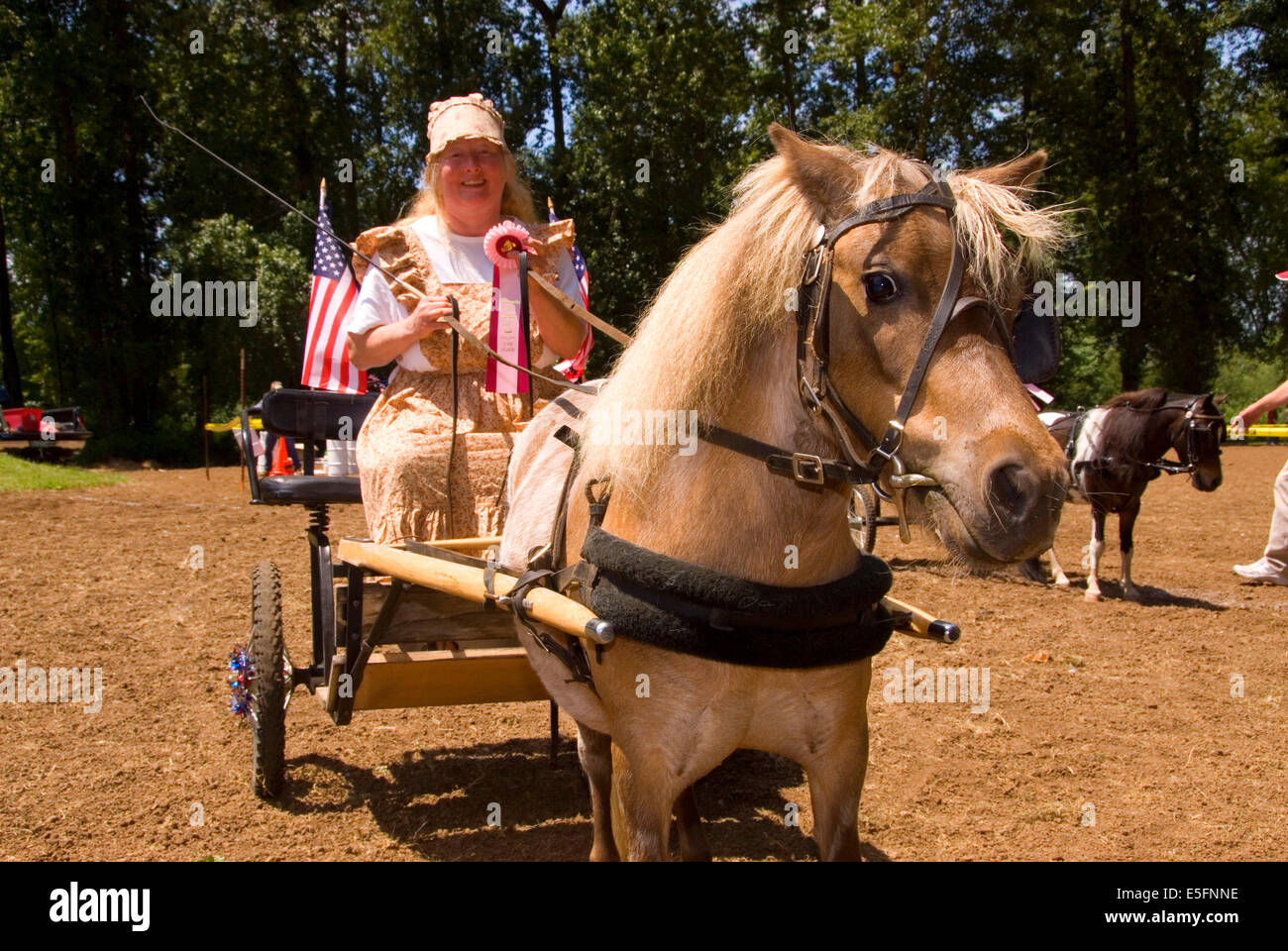 Miniature horse buggy with Dreamcatcher (horse), Miniature Horse Show