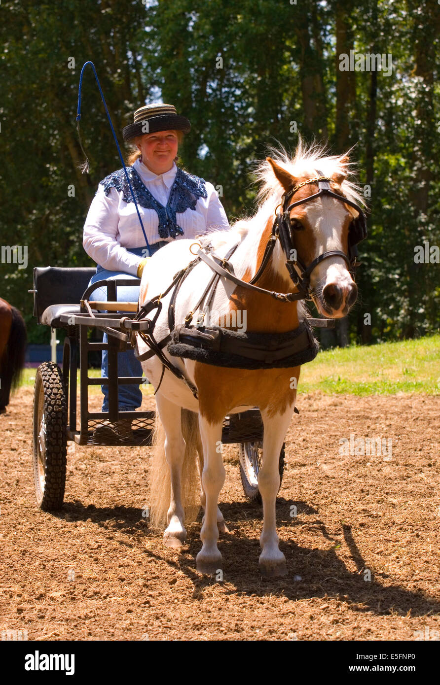 Miniature horse buggy with Happy (horse), Miniature Horse Show, Linn