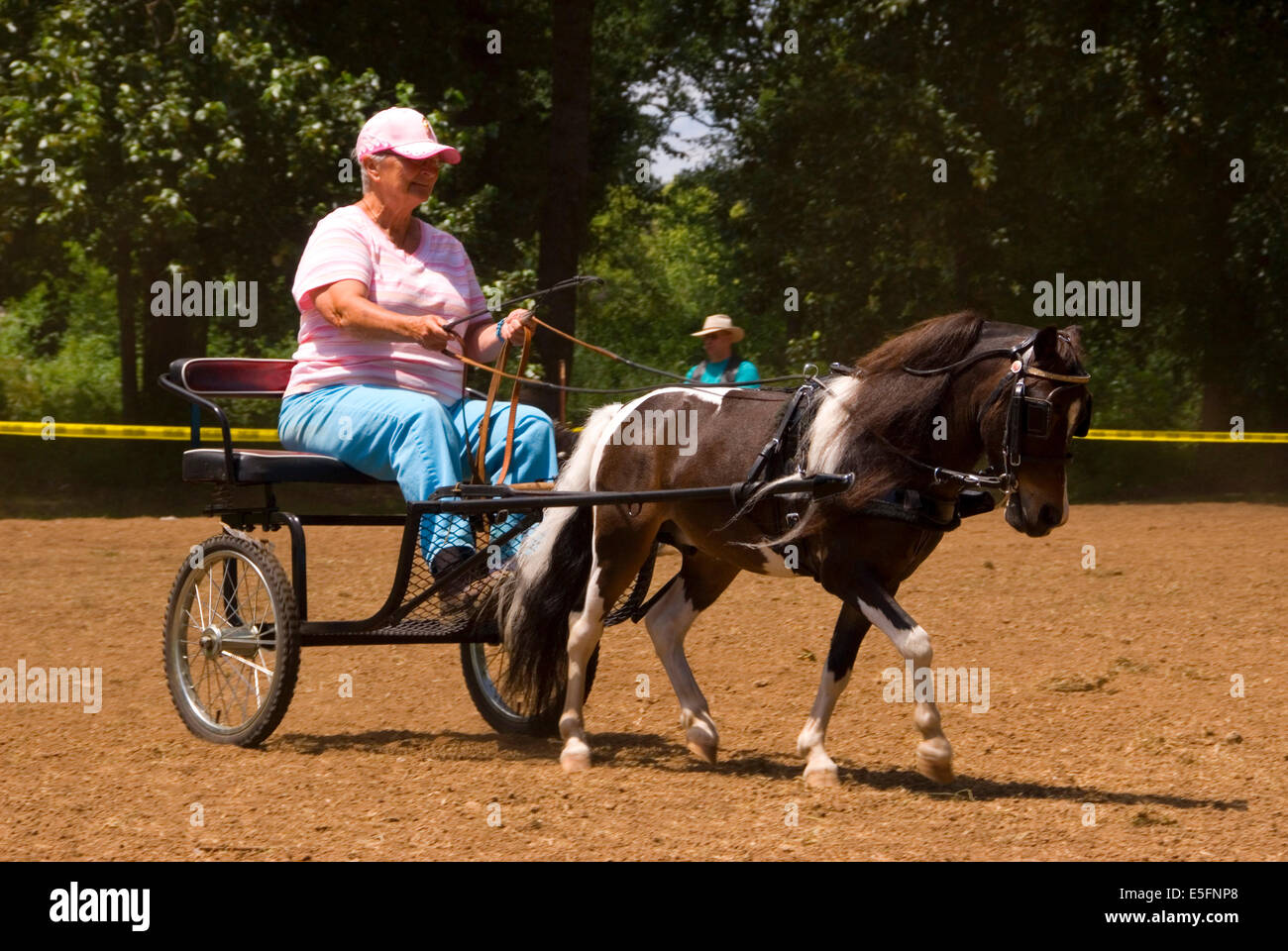 Miniature horse buggy, Miniature Horse Show, Linn County Pioneer Picnic