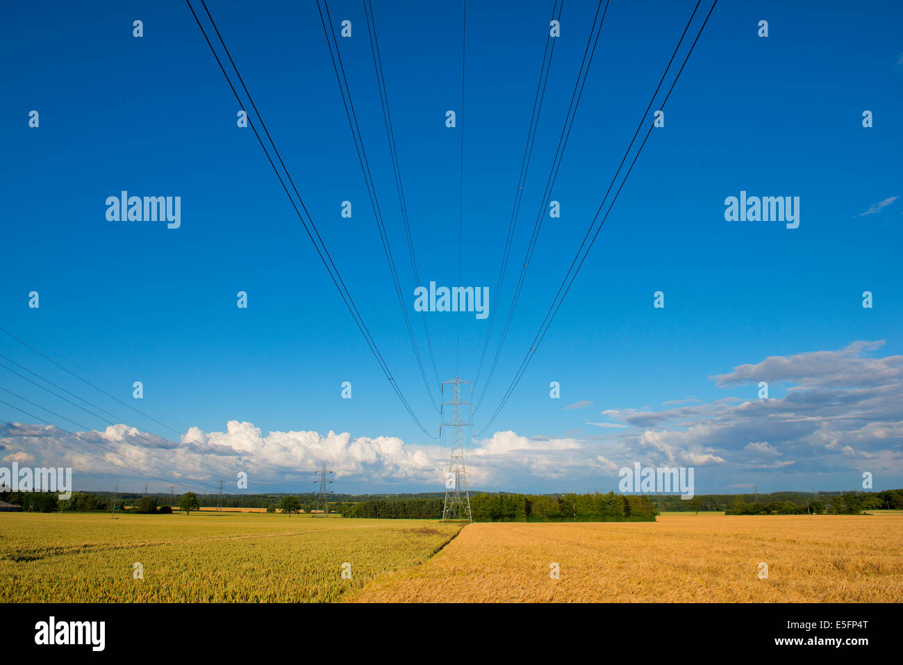 An electricity pylon in a field against a blue sky with clouds ...
