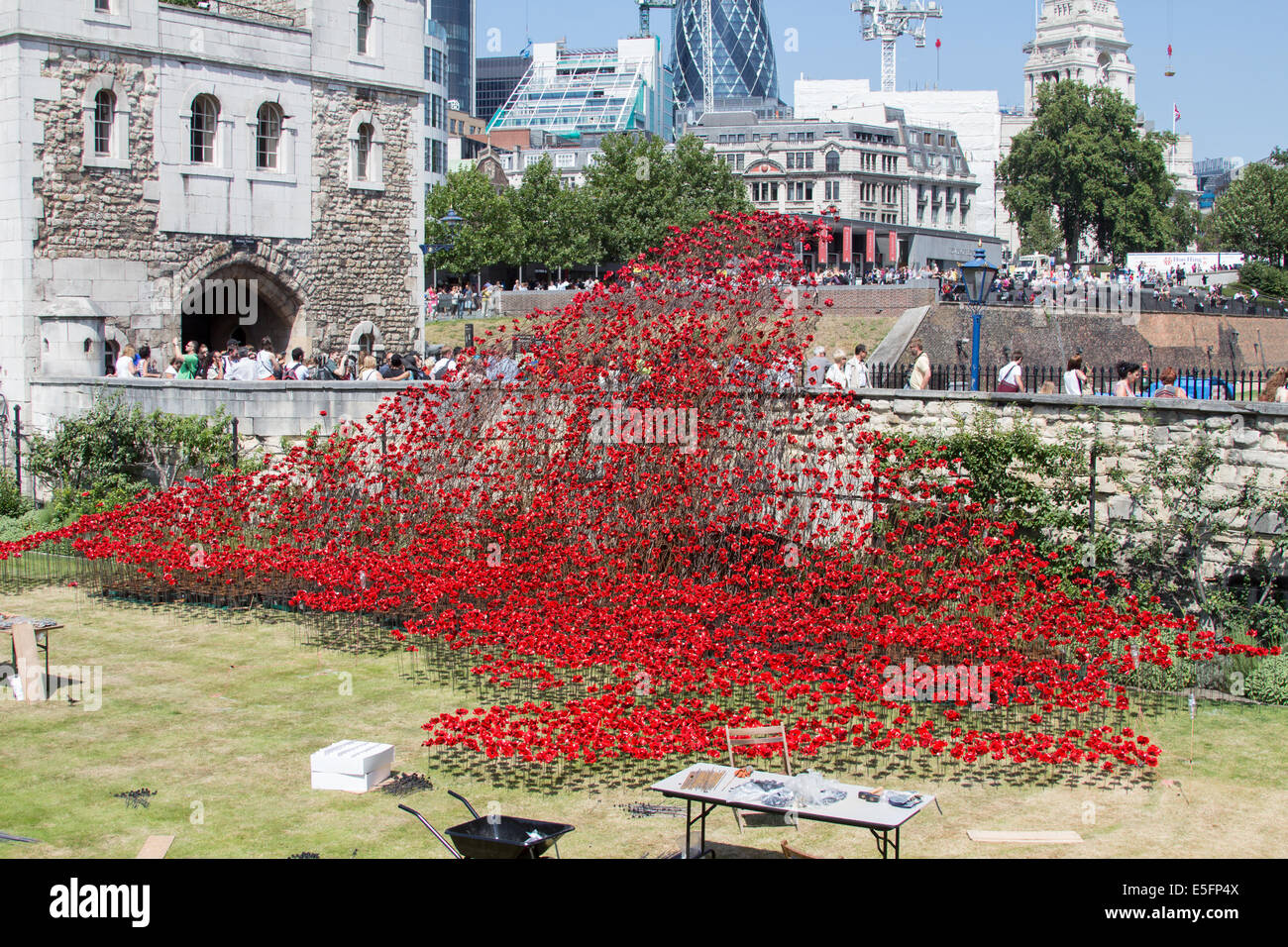 The Wave at the Tower of London, in the dry moat. Over 800,000 poppies
