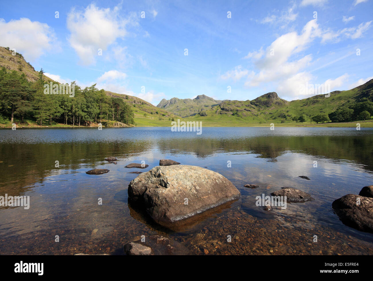 The Langdale Pikes perfectly framed behind Blea Tarn in the Lake District Stock Photo