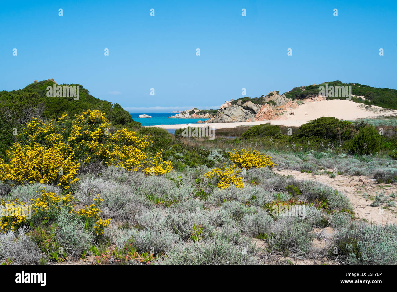 Monti di Rena beach in La Maddalena island, Sardinia, Italy Stock Photo