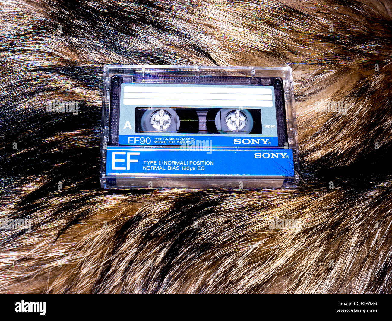 GOMEL, BELARUS - JUNE 11, 2014: Sony cassette tape  on fur background. Sony Corporation, commonly referred to as Sony, is a Japa Stock Photo