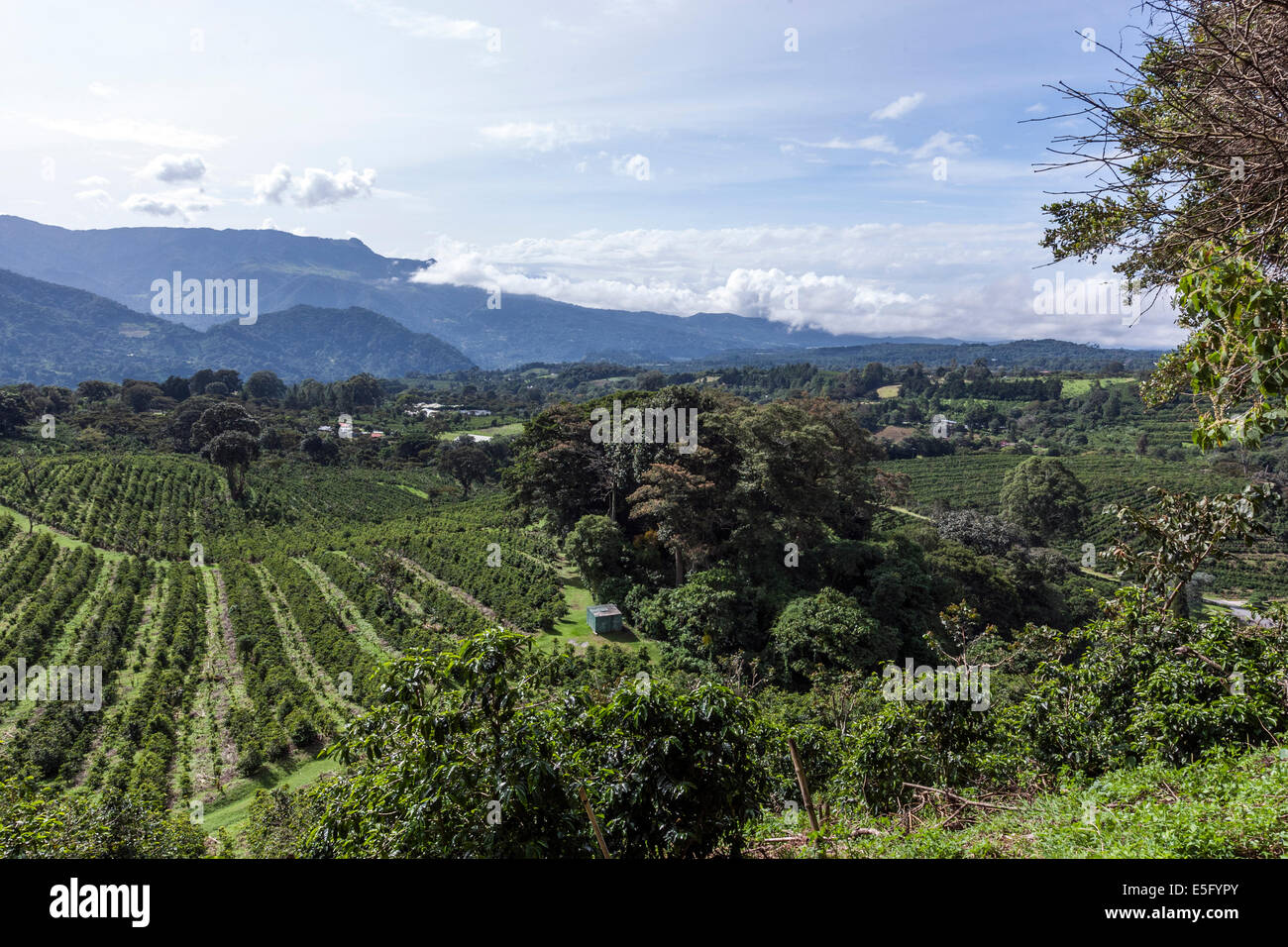 Hotel Finca Lerida Coffee Plantation And Boutique Hotel - 