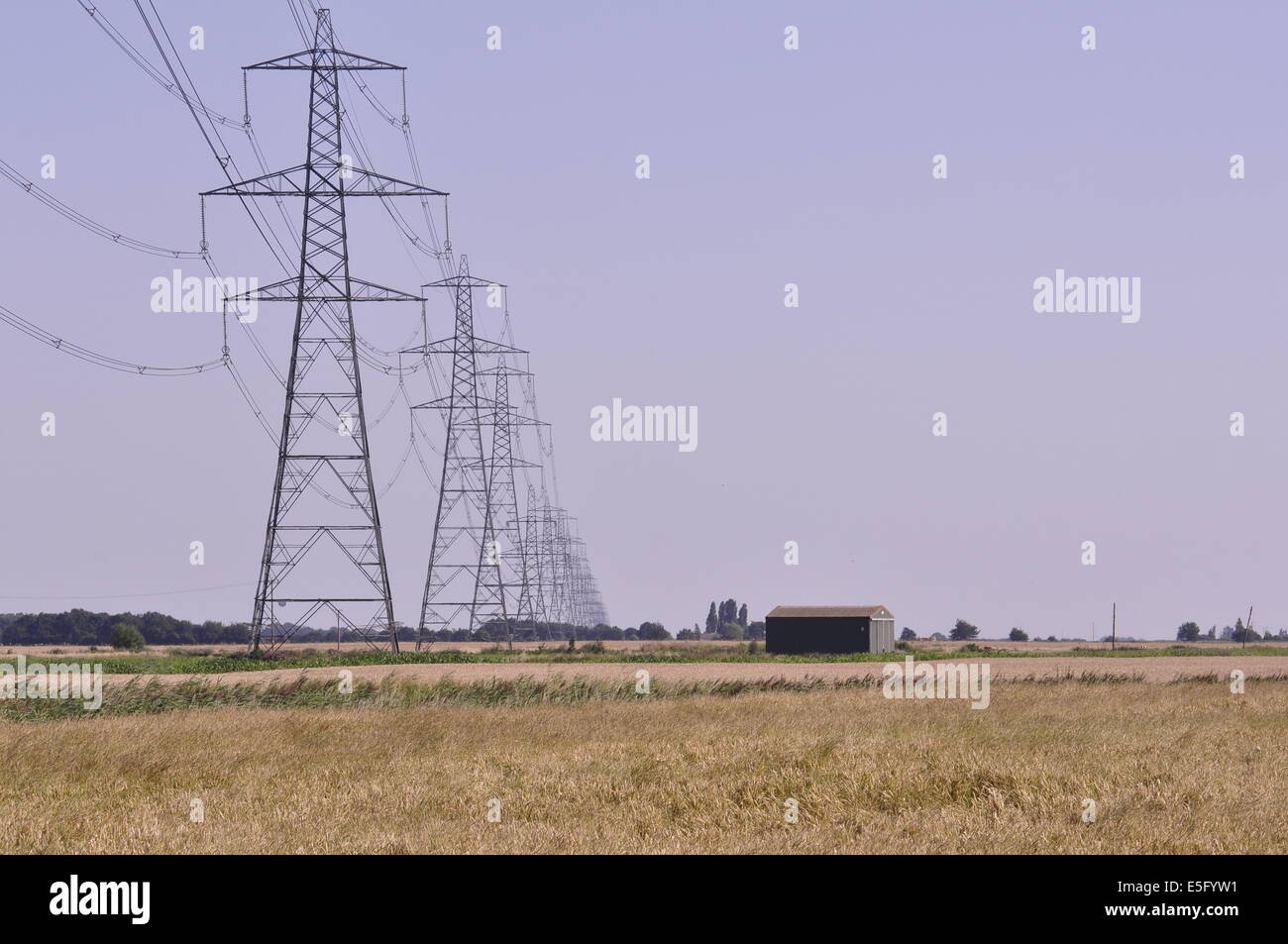 Pylons east of Outwell in the fens of west Norfolk, Stock Photo