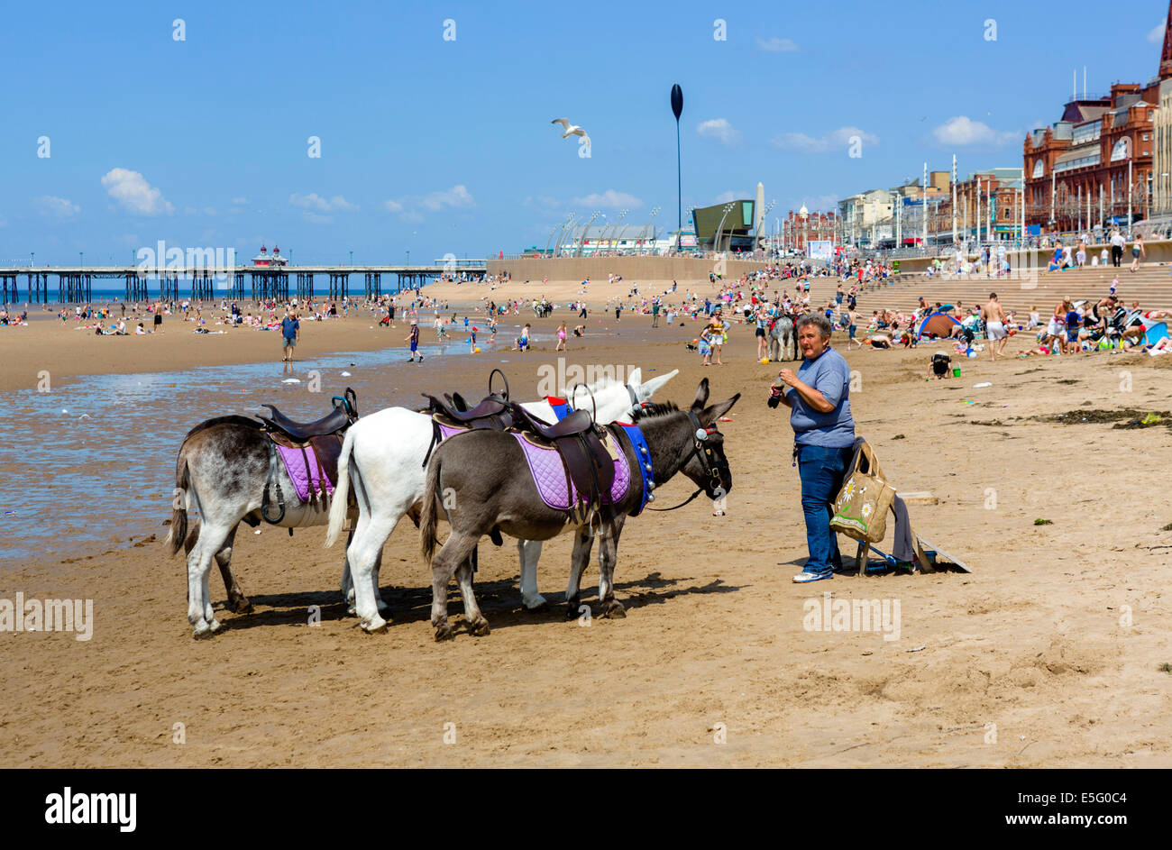 Donkey rides on the beach looking towards North Pier, The Golden Mile, Blackpool, Lancashire, UK Stock Photo