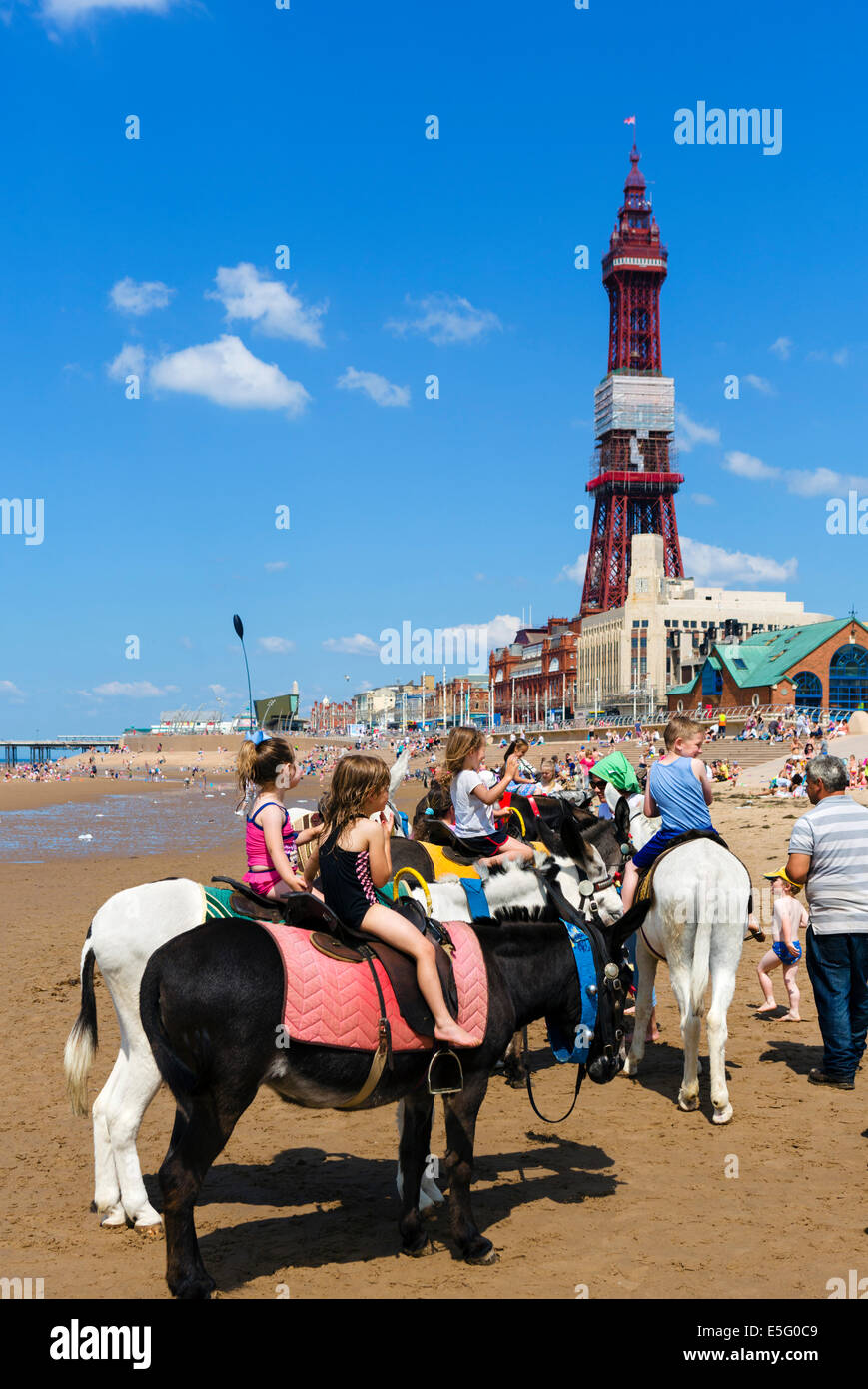 Donkey rides on the beach in front of  Blackpool Tower, The Golden Mile, Blackpool, Lancashire, UK Stock Photo