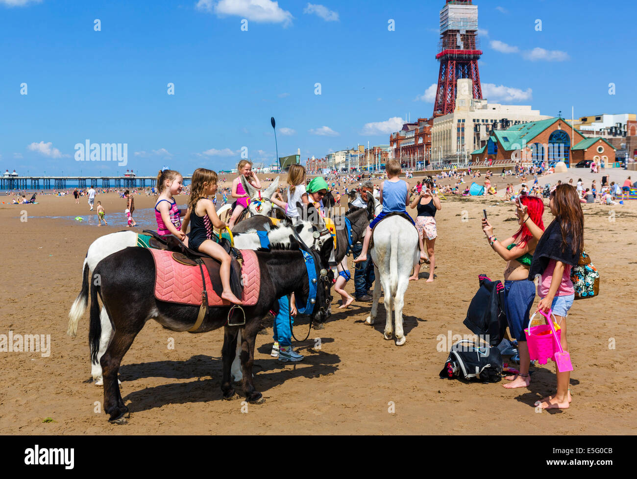 Donkey rides on the beach looking towards North Pier and Blackpool Tower, The Golden Mile, Blackpool, Lancashire, UK Stock Photo