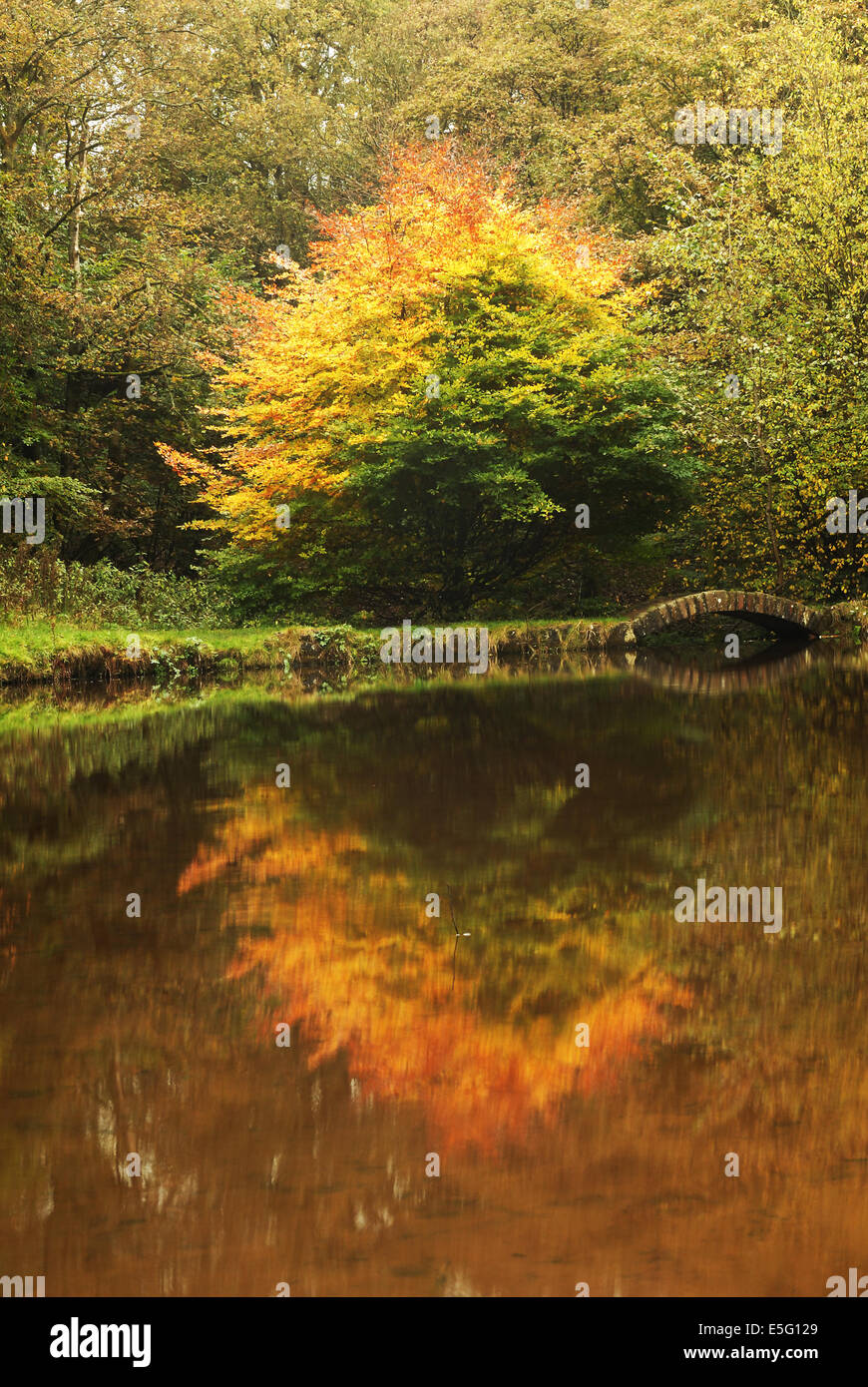 Reflections on a Fall Lake Stock Photo - Alamy