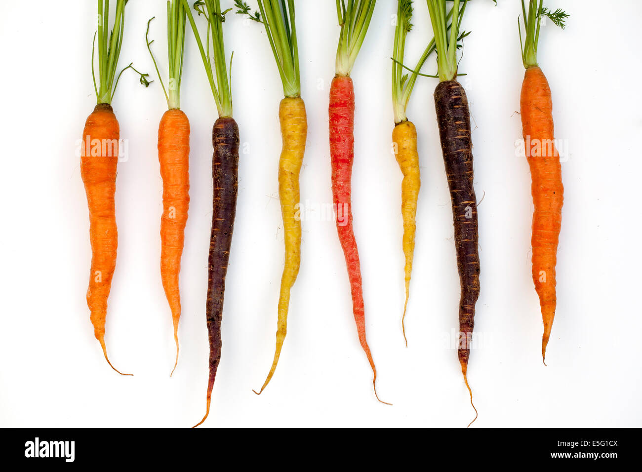Organic Heritage or Heirloom Carrots Stock Photo Alamy
