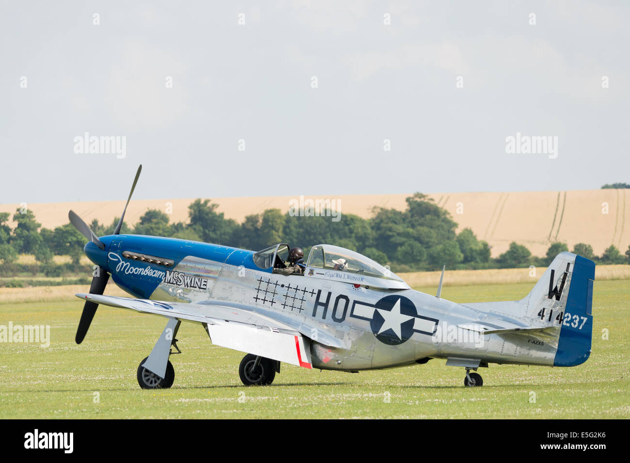 P-51D Mustang Moonbeam McSwine in a field in Duxford Stock Photo - Alamy
