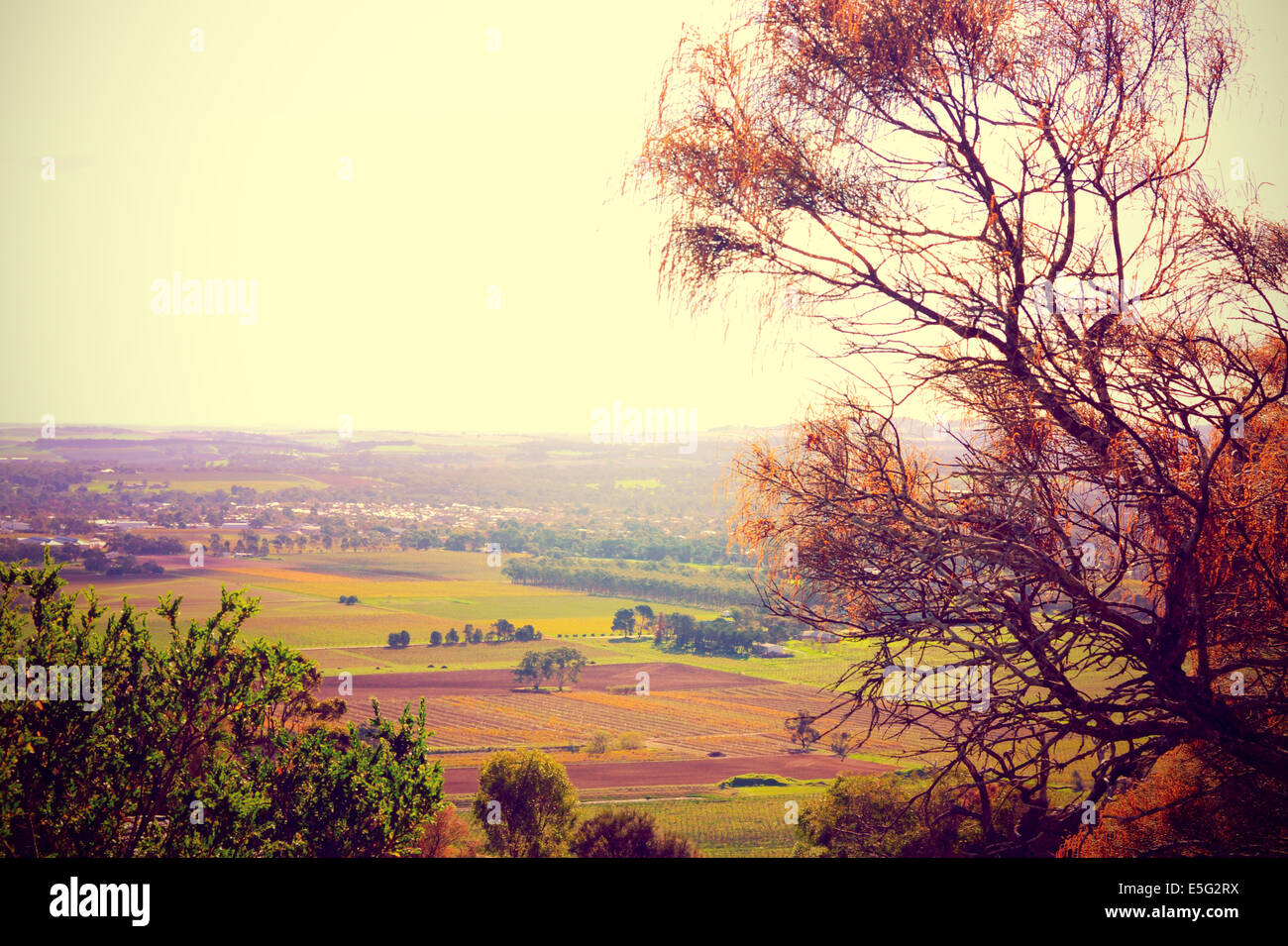 Retro sunset filter style scenic views overlooking Barossa Valley, South Australian prominent wine growing region Stock Photo