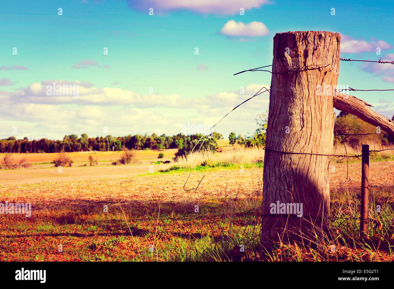 Retro sunset filter style country side scene with old gate post and barb wire. Taken at Barossa Valley, South Australia. Stock Photo