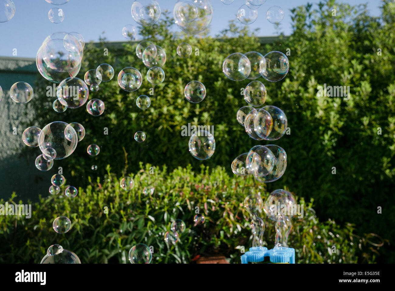 Soap bubbles floating in air Stock Photo