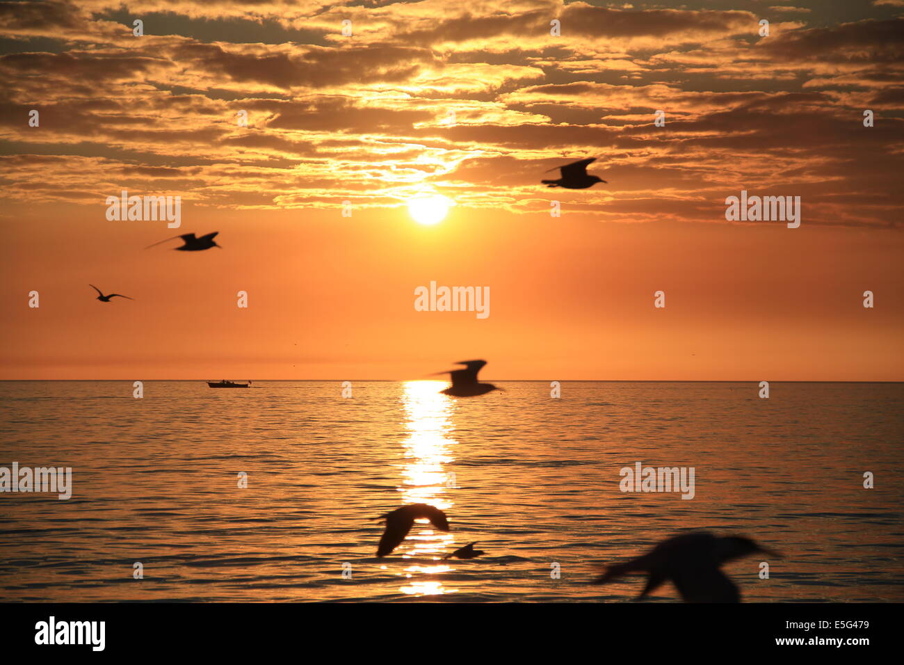 Perfect Sunset Stock Photo