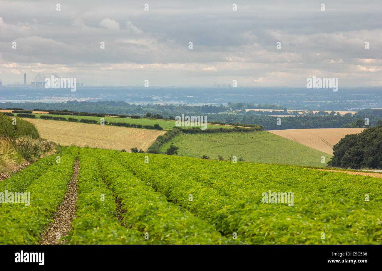 Rolling fields of the Yorkshire Wolds looking across to the east of the county. Stock Photo