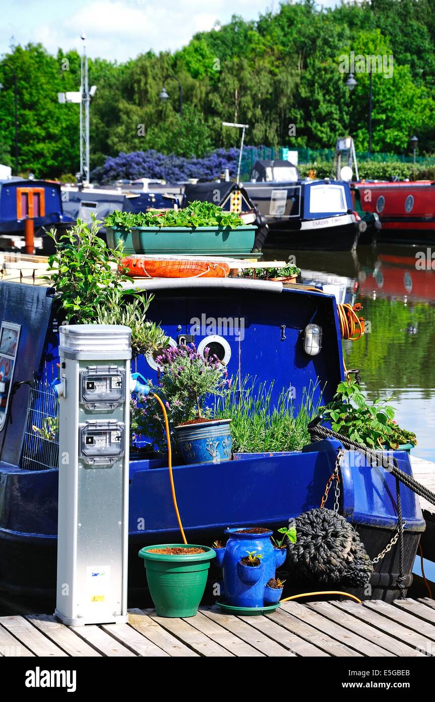 Narrowboats on their moorings hooked up to electricity supplies in the